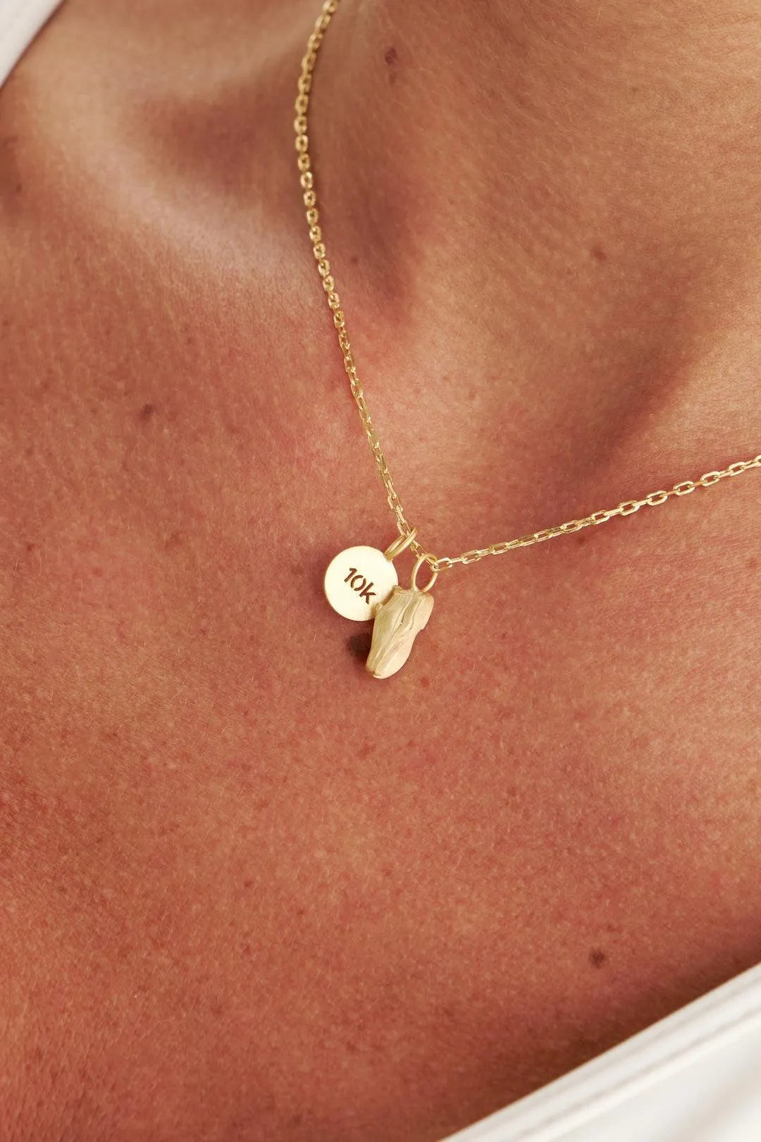 Cordão Corrida 21km La Vie Sports - Renata Alt